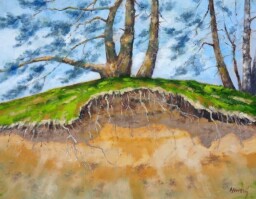 Pod Senotínem  50x60